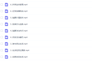 初三政治部编人教版上册课程（九年级政治同步课）