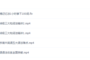 有道精品课李辉高中英语零基础词汇语法导学班（完结）