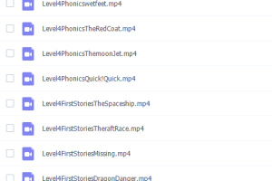 牛津树英语分级绘本level4~6