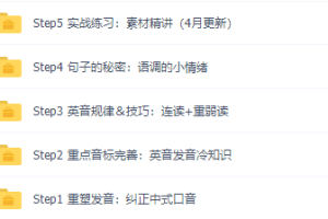 有道爱丽丝英音完全手册讲解课程