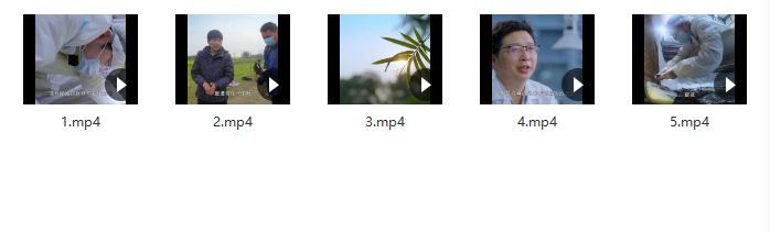 不止考古 我与三星堆插图