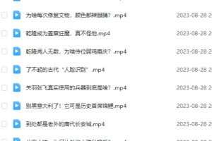 梨视频 动历史！视频