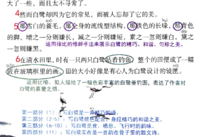 抖音超火语文课堂笔记PDF格式